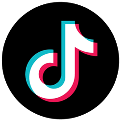 Icona Tiktok